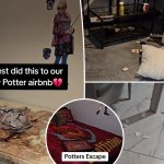 Harry Potter Airbnb Owners Traumatized by $6K Damages