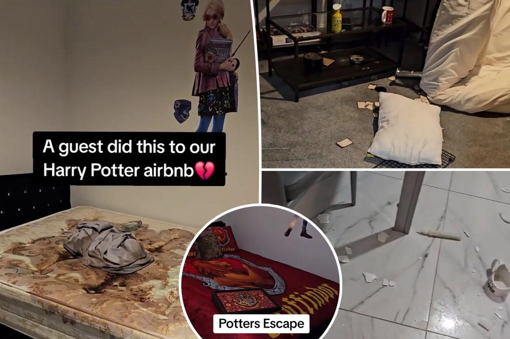 Harry Potter Airbnb Owners Traumatized by $6K Damages