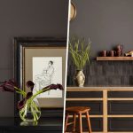 Sherwin-Williams' Sealskin: A Versatile Neutral for Any Room