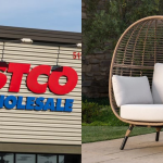 Costco's Wicker Egg Chair Is Back