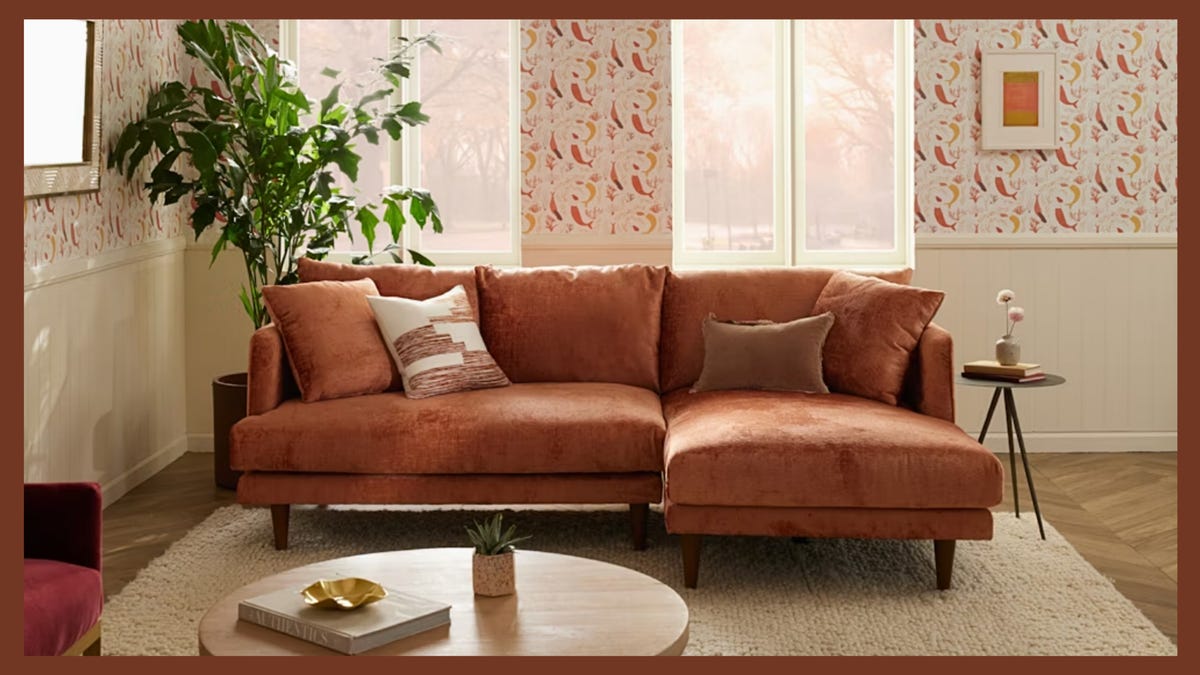 Save 45% on viral sofas