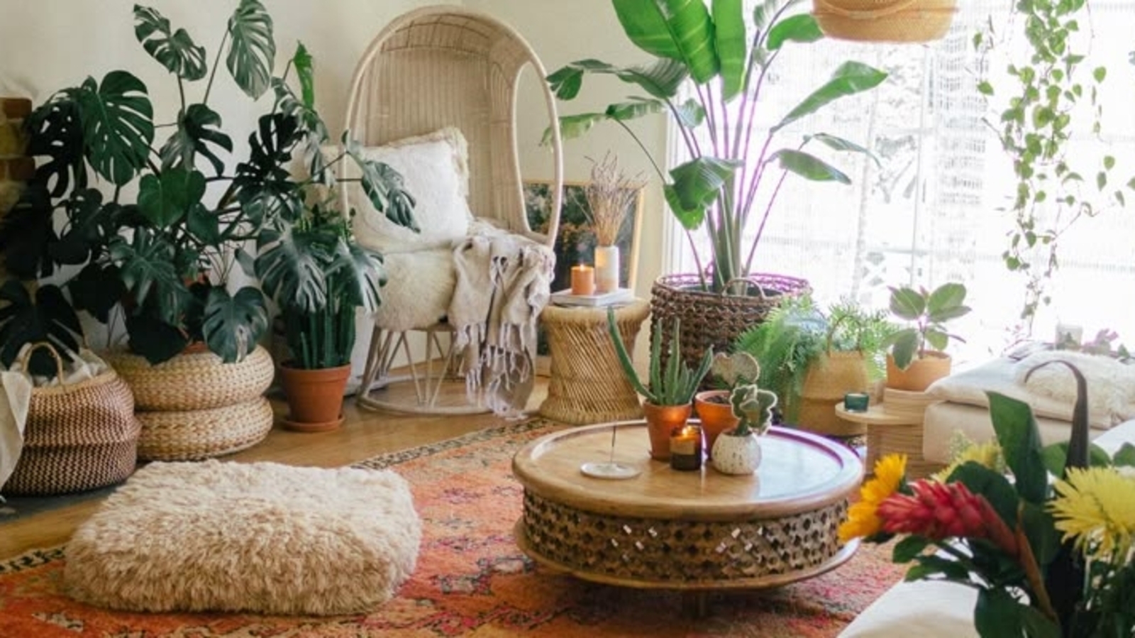 2025's Hottest Rug and Furniture Trends