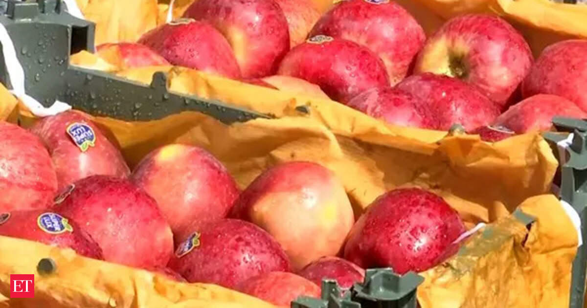 'Ban Turkey' trend gains momentum in Pune as traders boycott Turkish apples amid India-Pak tensions